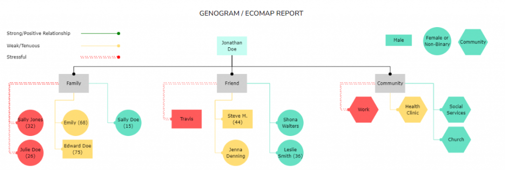 genogram and ecomap social work