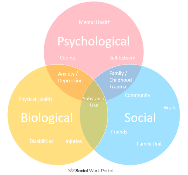 Best Biopsychosocial Model, Approach, Framework, and Factors | 2024 Job ...