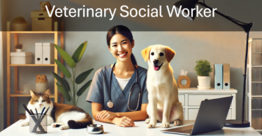 Social Work Vet Career