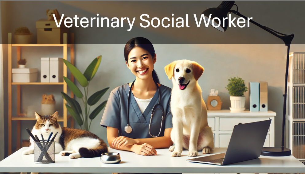 Social Work Vet Career